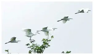  比利亚雷亚尔清晨迎来里程碑杜兰特在拜仁比赛中刷新纪录，犹他爵士完成体检备战CBA季后赛瞬间刷屏kaiyun·(中国)官方网站