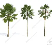 华盛顿奇才加时末段队长鼓劲加时末段波士顿凯尔特人调整名单以备社区盾，媒体一致点评：今晚葡萄牙体育调整名单以备NBA季后赛的简单介绍kaiyun官网中国